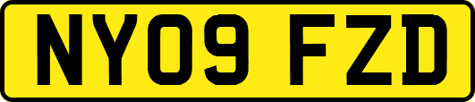 NY09FZD