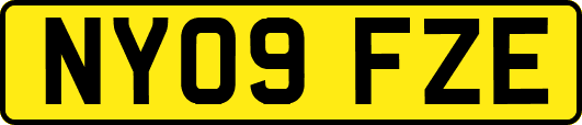 NY09FZE