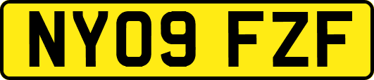 NY09FZF