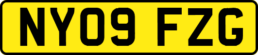 NY09FZG