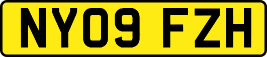 NY09FZH