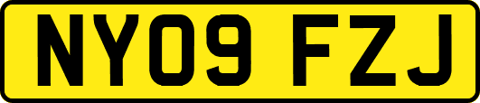 NY09FZJ