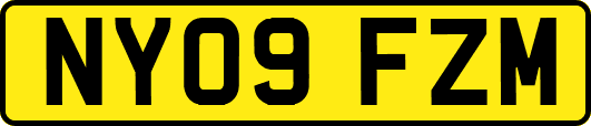 NY09FZM