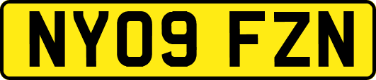 NY09FZN