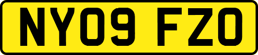 NY09FZO
