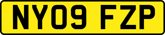 NY09FZP