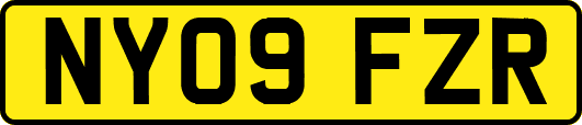 NY09FZR