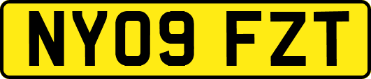 NY09FZT
