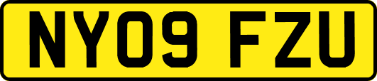 NY09FZU