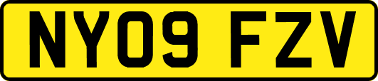 NY09FZV