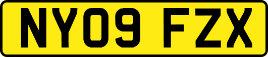 NY09FZX