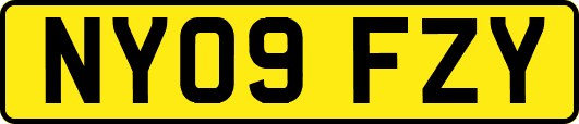 NY09FZY