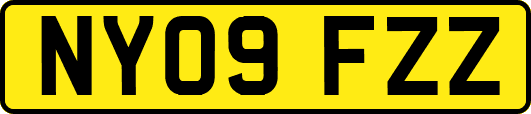 NY09FZZ