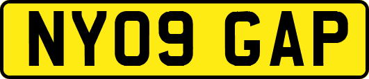 NY09GAP