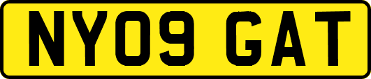 NY09GAT