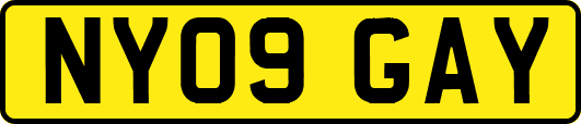 NY09GAY