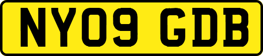 NY09GDB