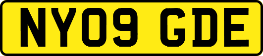 NY09GDE