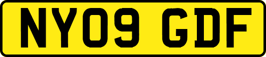 NY09GDF
