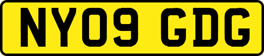 NY09GDG