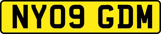 NY09GDM