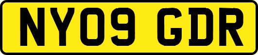NY09GDR