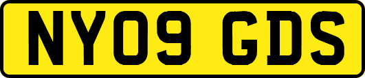 NY09GDS