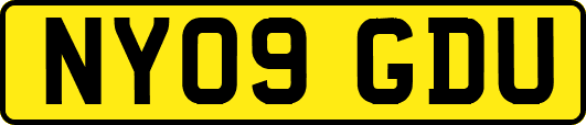 NY09GDU