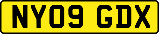 NY09GDX