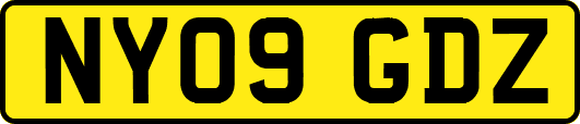 NY09GDZ