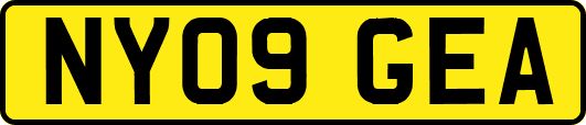NY09GEA
