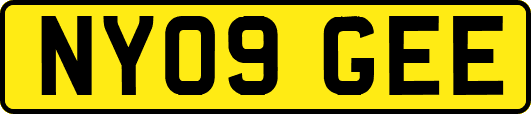 NY09GEE