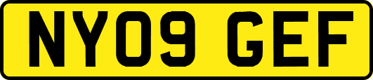 NY09GEF