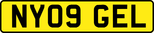 NY09GEL