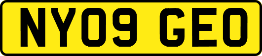 NY09GEO