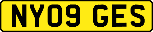 NY09GES