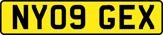 NY09GEX