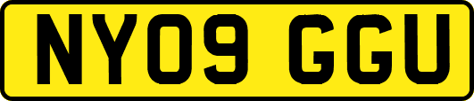 NY09GGU