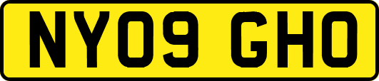 NY09GHO