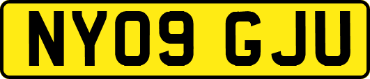 NY09GJU