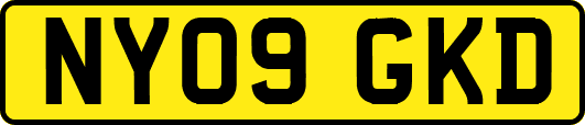 NY09GKD