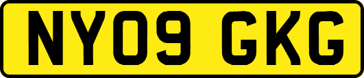 NY09GKG