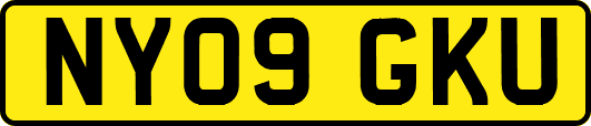 NY09GKU