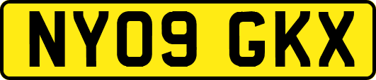 NY09GKX