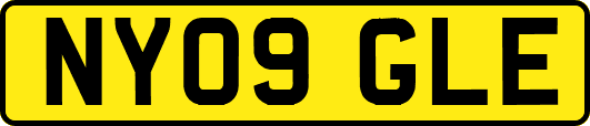 NY09GLE