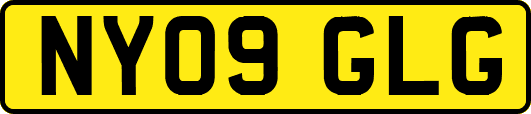 NY09GLG