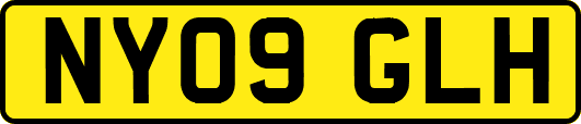 NY09GLH