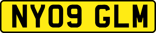 NY09GLM