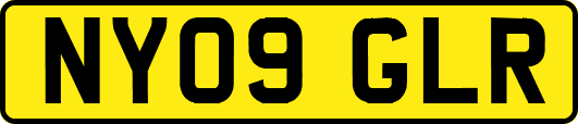 NY09GLR