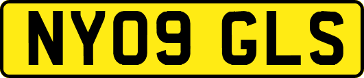 NY09GLS